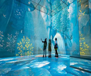 Frameless Immersive Art Experience: Entry Ticket